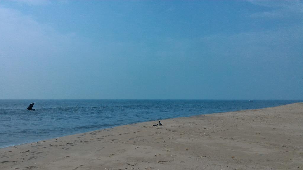 Marari Secret Beach Yoga Homestay Mararikulam Buitenkant foto